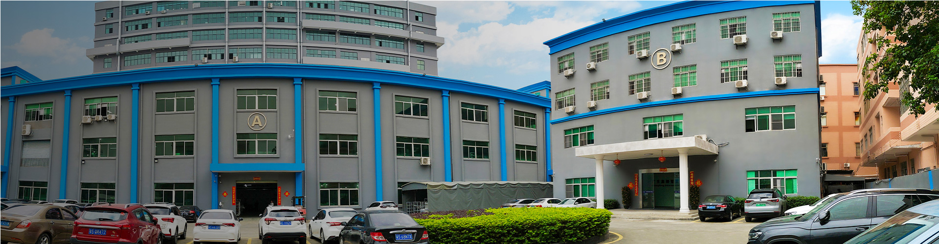 Company Profile