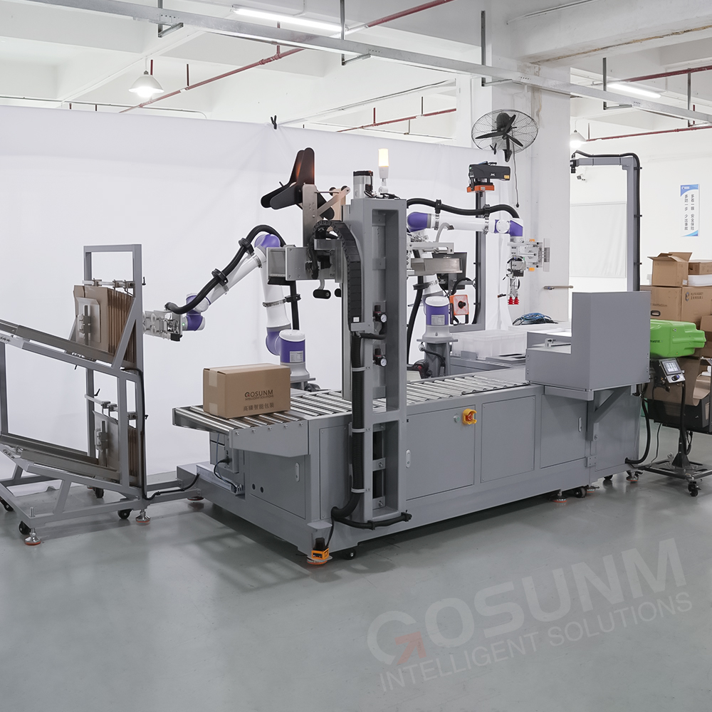IPS-100 Series Intelligent Packing Station | Efficient, Precise, and Customizable Automated Packaging Solution