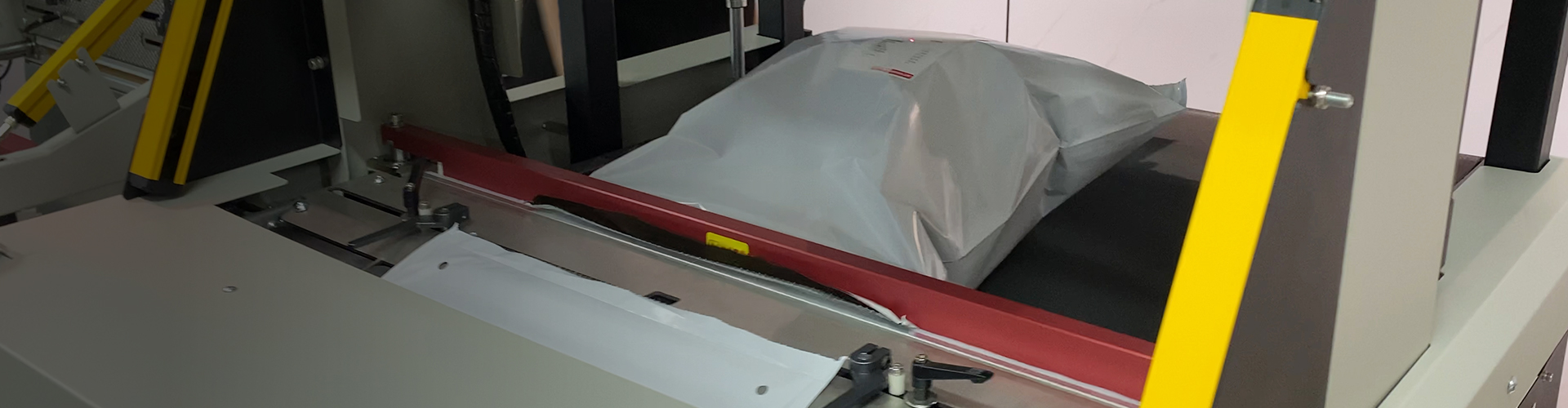Express Bagging Machine