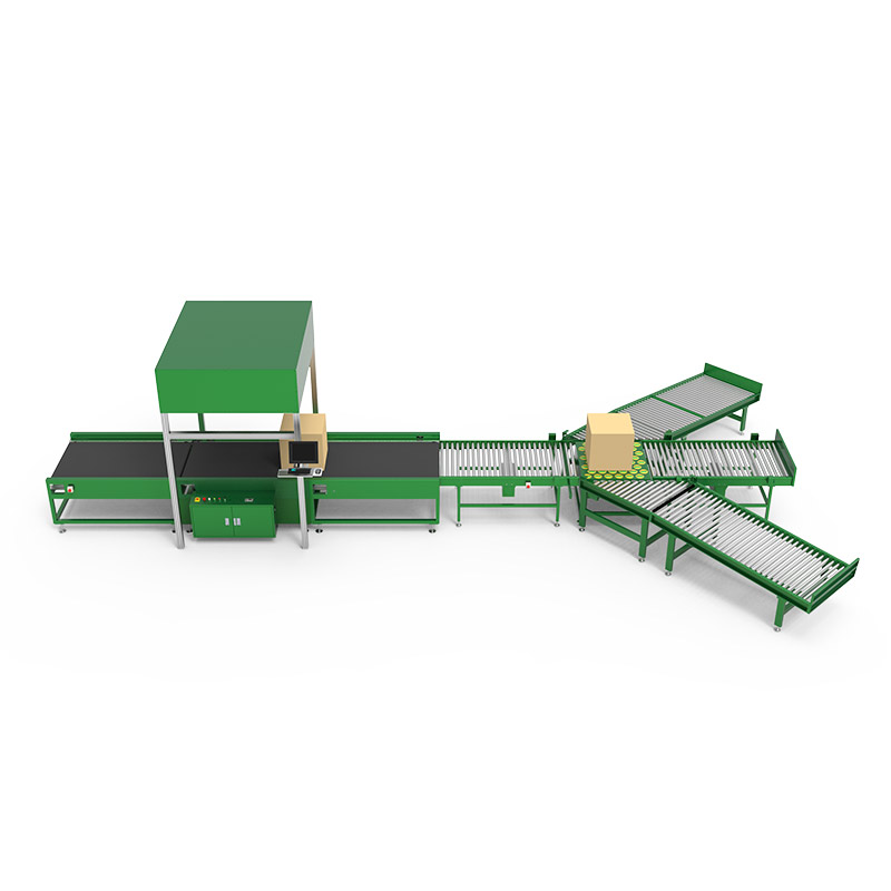 green dynamic dws & 3 station sorter green dynamic dws & 3 station sorter