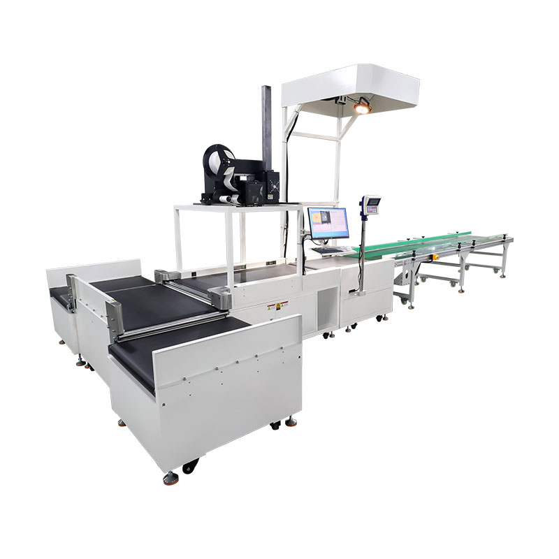 Static DWS Sorting System with Real-time Print & Apply Label Applicator