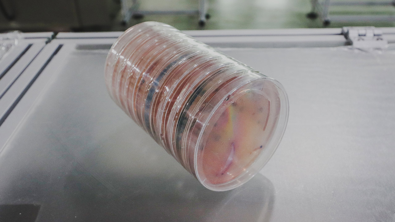 Petri Dish Shrink Sleeve Labeling Machine Petri Dish Shrink Sleeve Labeling Machine