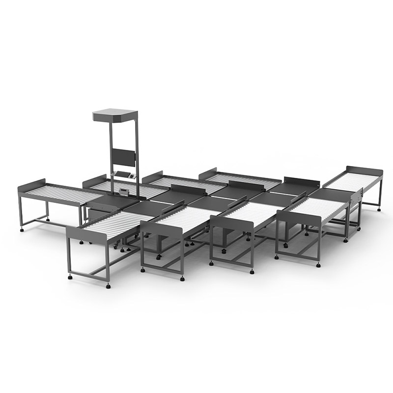 8 Ports Sorting Machine With Static DWS Parcel Measurering | Parcel Sorter Logistic Equipment