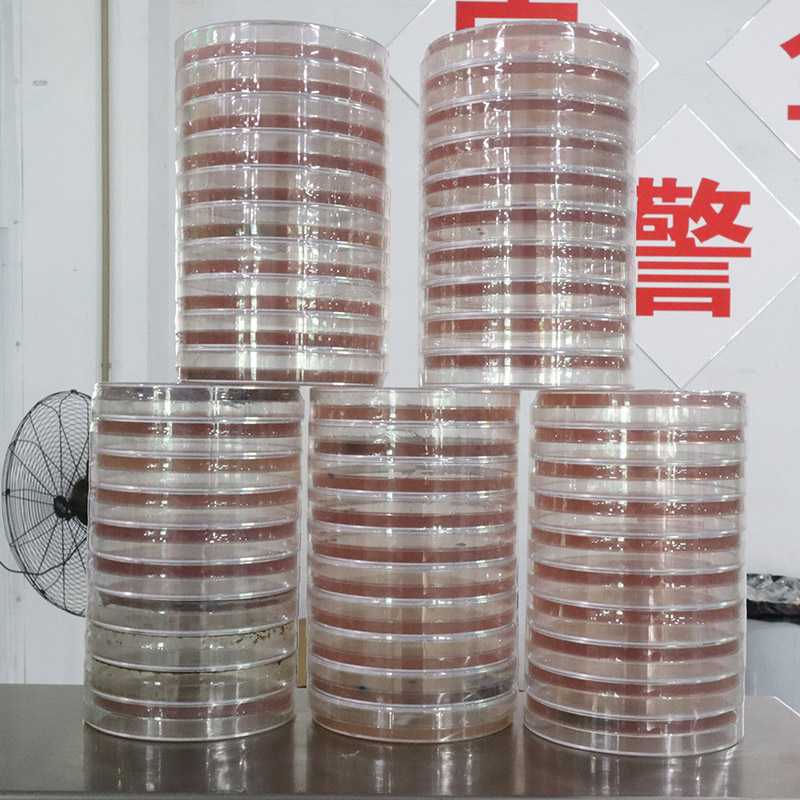 Petri Dish Shrink Sleeve Labeling Machine