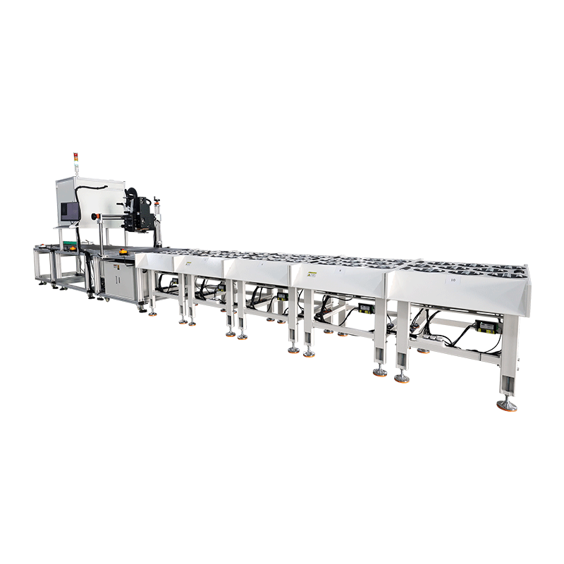 Apparel E-Commerce DWS+ Parcel Sorter with Real-Time Print & Apply Shipping Label